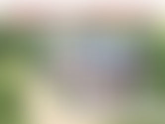 Thil-en-Vexin, dimanche 17 novembre.