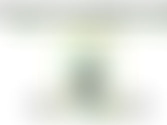 Premier salon du livre de Bacqueville-en-Caux, c'est samedi 11 novembre !