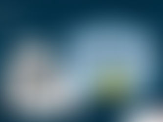 La fête du hareng, c'était le week-end dernier... et c'était génial !