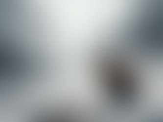 La Fille de l'Ours, carnet de voyage.