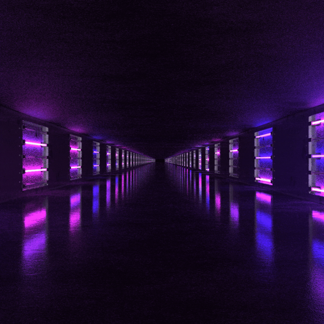 Untitled design-2.gif