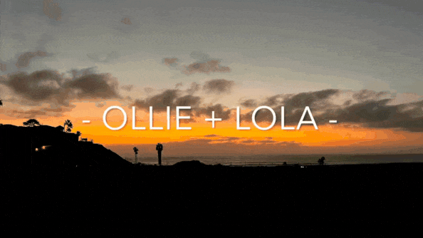 Untitled+(2560+x+1440+px)+(Video).gif