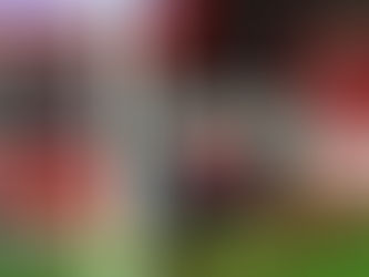 Com virada histórica sobre Brest, Dunkerque chega às semifinais