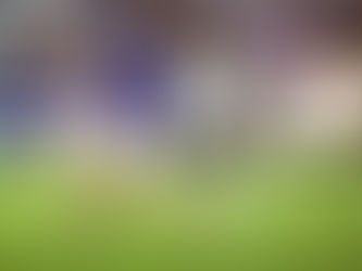 Seleção olímpica francesa empata com Japão