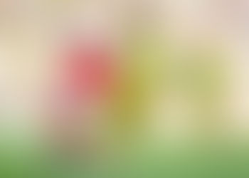 Brasileiro Douglas Augusto faz gol em domingo de cinco jogos na Ligue 1