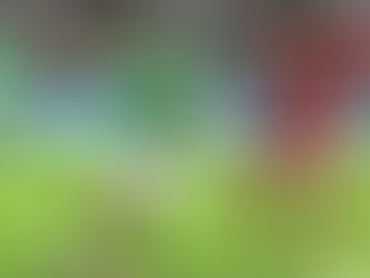 Saint-Etienne e Brest empatam em tarde de Cardona e Ajourque