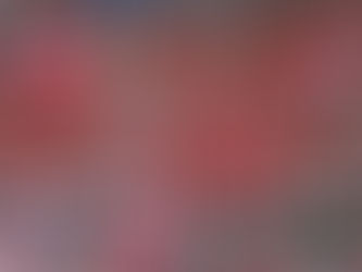 Como dizem os franceses (e o Losc também!): "deux poids, deux mesures"