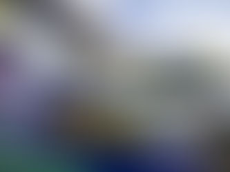 Recorde de público nas 24 Horas de Le Mans