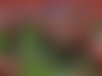 Nice faz dever de casa e vence Nantes