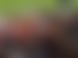 Federação mantém exclusão do Foyer Laique