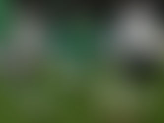 Saint-Etienne é punido no final e sofre empate