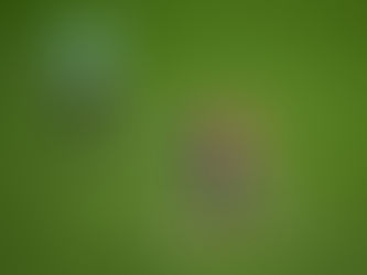 Técnico do Napoli não digere transferência de Kvara para PSG