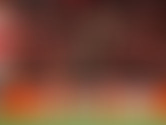 Lille se classifica e Liga dos Campeões terá 4 clubes da França