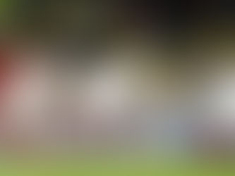 Vitória sobre Aston Villa classifica Monaco