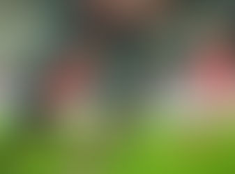 Reims elimina Angers nos pênaltis e faz história