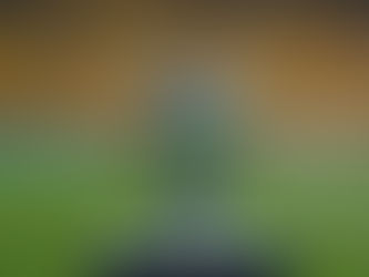 Quatro franceses classificados na Champions