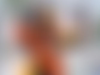 Piastri vence na Espanha e segue líder da F1