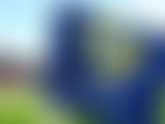 McDonald’s perto de fechar patrocínio master na Ligue 1