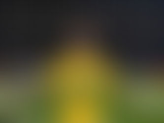 Perri garante classificação do Lyon na Copa da França