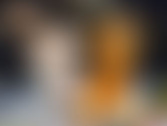 Brest não joga bem e perde para Shakhtar