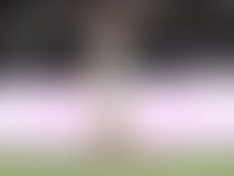 Thiago Almada pode ser apresentado ao Lyon nesta semana