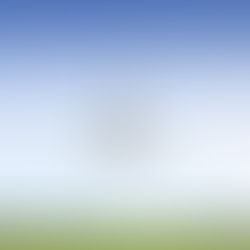 Ballarat Airport Options Analysis 