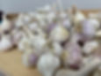 Organic Garlic