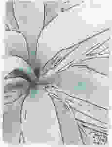 Inkjet printed image