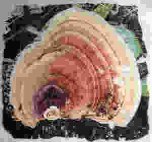 Laminated image with blank screen.
