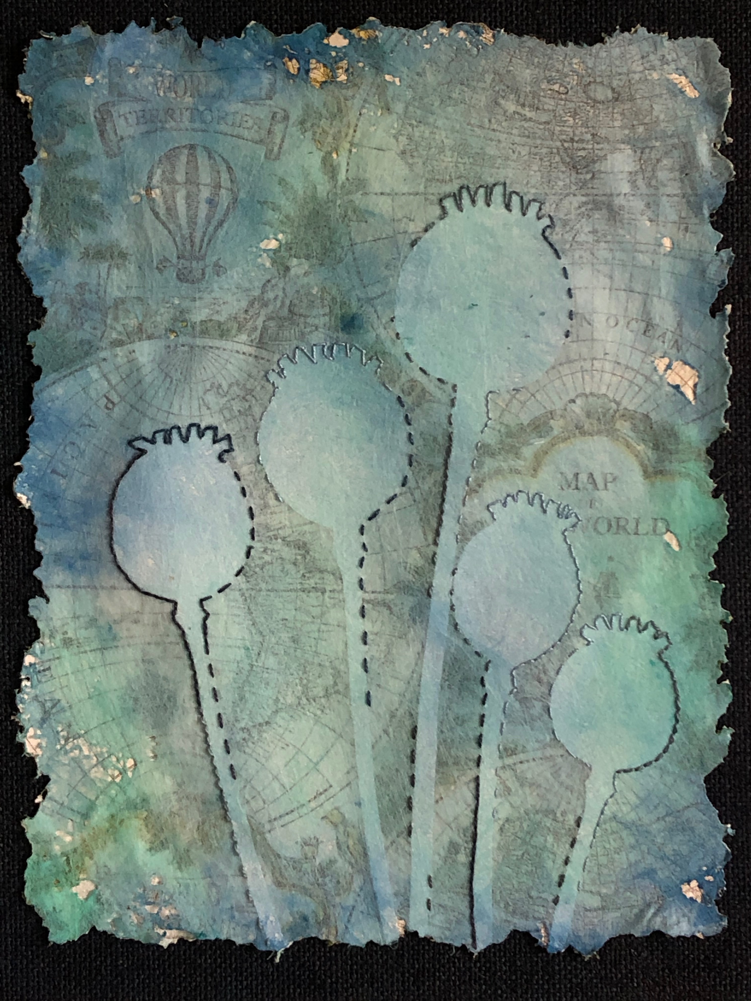 Shadow Poppy Seed Heads