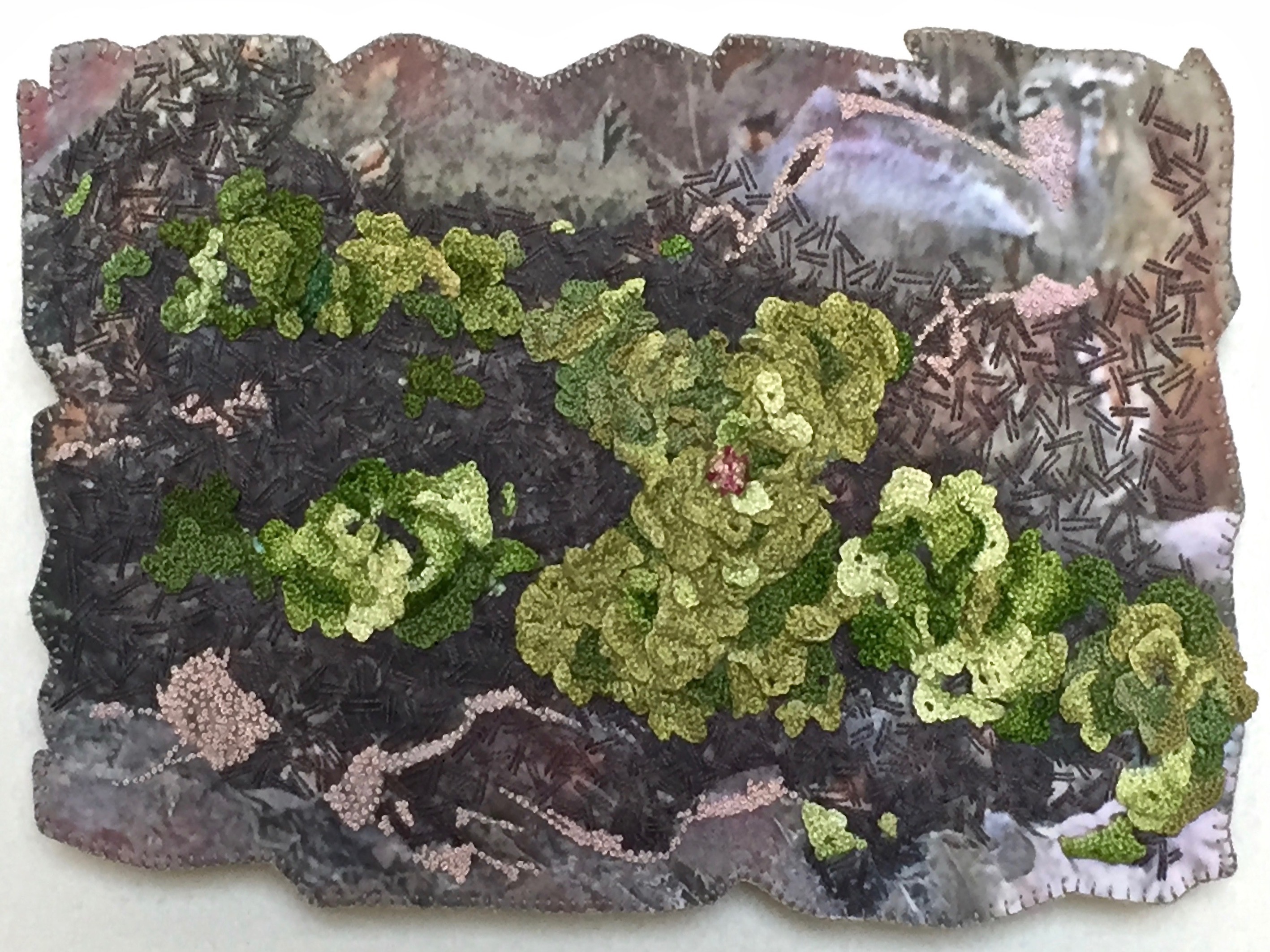 Tree Lichen