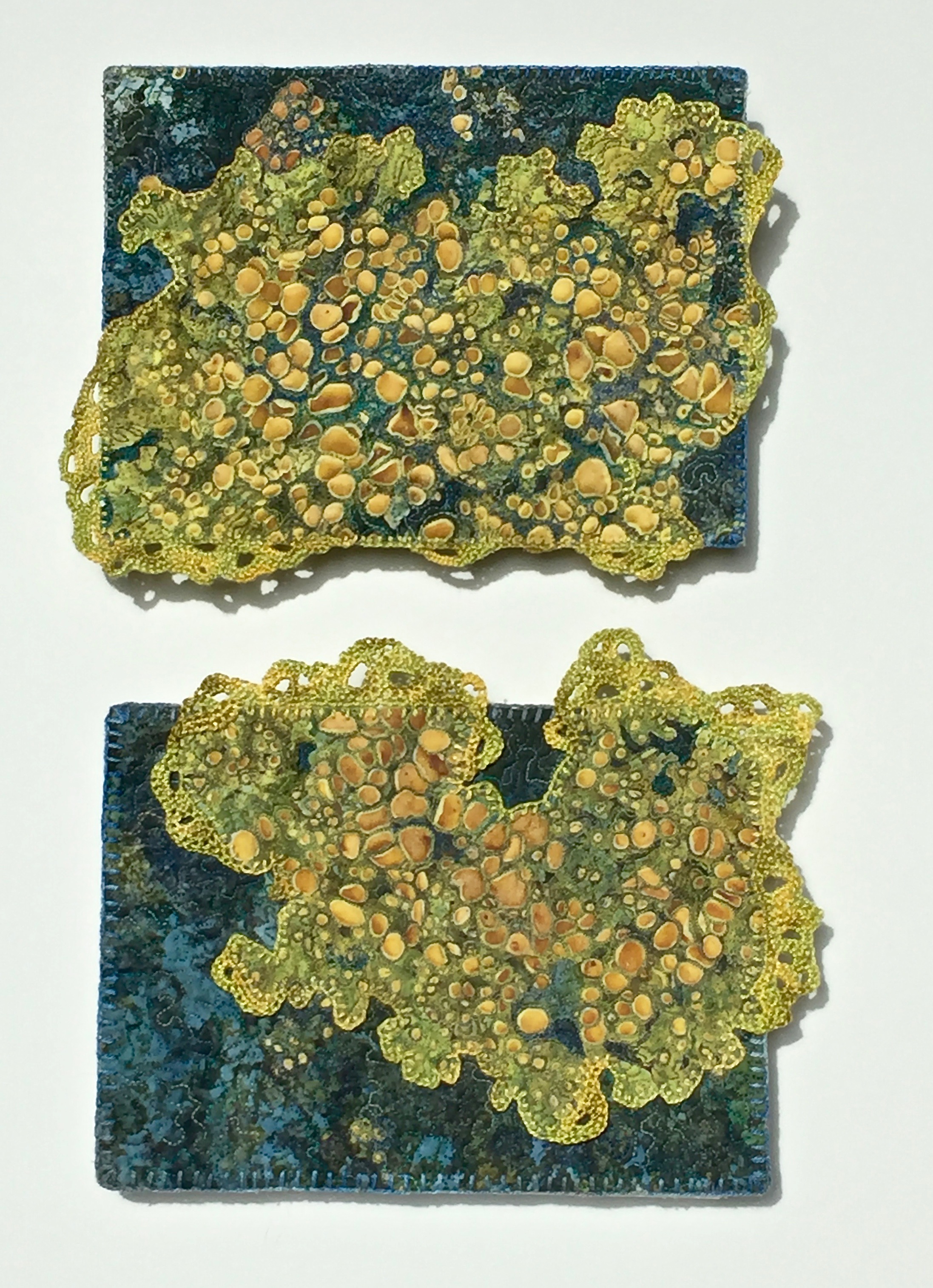 Lichen 1 and 2