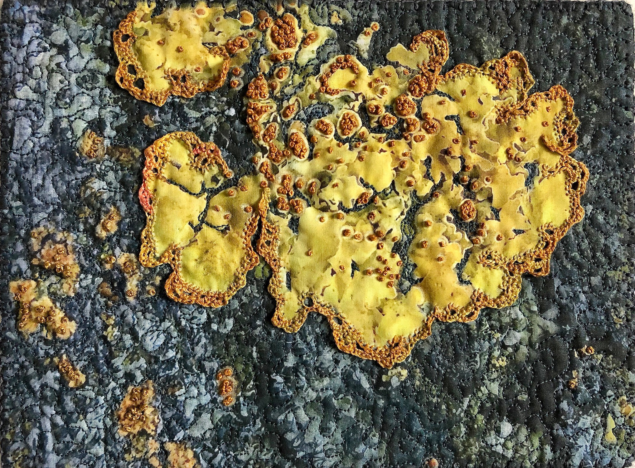 Lichen - Small