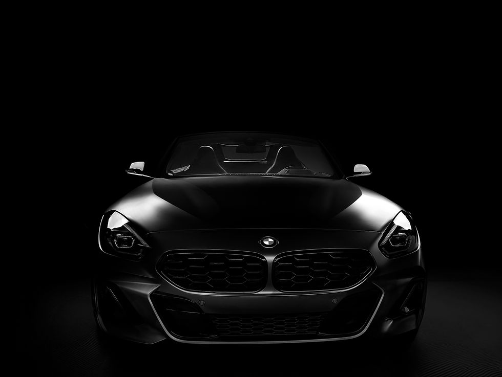 Z4_BW.jpg