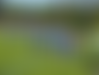 Škoda nevyužitých šancí