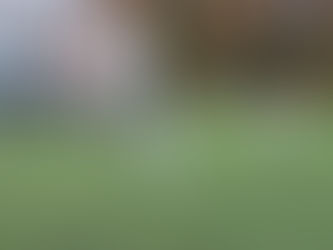 Na 1. Bolevec nestačíme