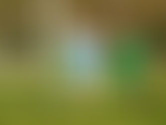 Mladší přípravka B na turnaji na Viktorce