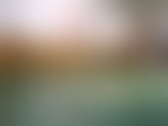 Badminton - sezóna 2020/2021