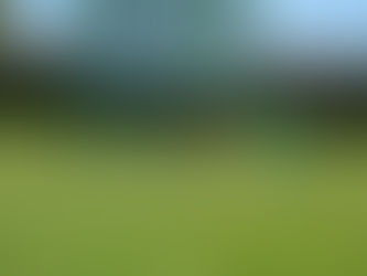 Jednoznačné utkání ve prospěch Křimic