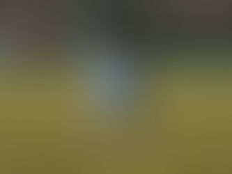 Z Horní Břízy jedeme bez bodu