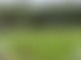 Z Třemošné vezeme 3 body