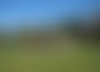 Poslední turnaj mladší přípravky "B"