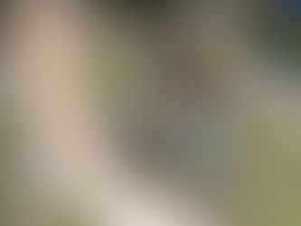 Už po třetí hostíme Becker Cup