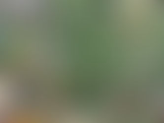 生ごみ処理容器等説明会(2022/6/17)