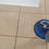 Thumbnail: Tile & Grout Deep Cleaning
