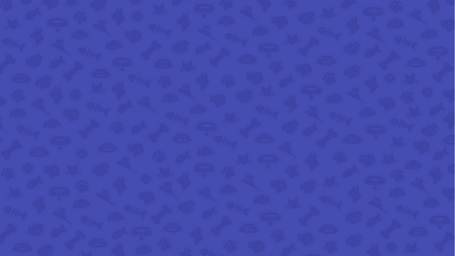 Pattern1-01.png