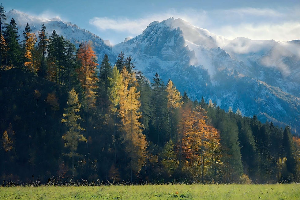 forest and mountains.jpg