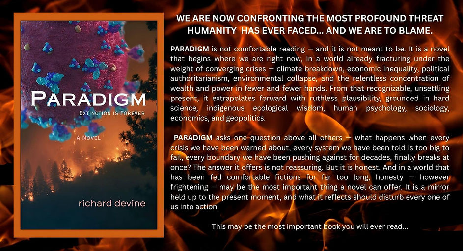 Paradigm is not comfortable to read.jpg