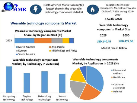 Wearable technology components Market Industry Overview and Global Market Landscape 2024-2030