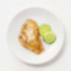 WILL CAUGHT SNAPPER FILLET